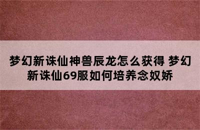 梦幻新诛仙神兽辰龙怎么获得 梦幻新诛仙69服如何培养念奴娇